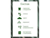 Набор для выращивания Вырасти, дерево! Кактусы