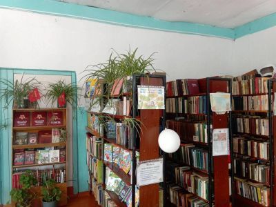 Пестеревская сельская библиотека