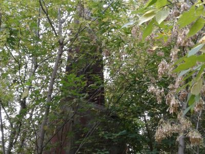 Памятник воинам, погибшим в годы Великой Отечественной войны (1941-1945 гг.)