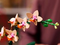 Коллекционные наборы 10343 Конструктор Мини-орхидея