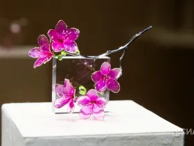 В Якутске открылась выставка Маргариты Зиминой «Цветы России»