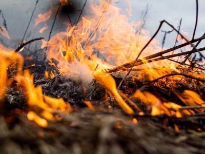 На территории Верхоянского района действуют четыре природных пожара