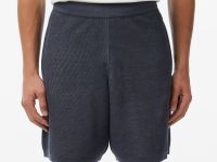Мужские брюки Lacoste