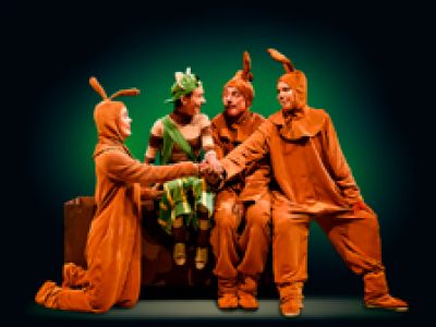 Новогоднее представление. Петсон и Финдус