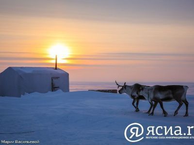 Предприниматели из Арктики получили двойные гранты на запуск или развитие собственного дела