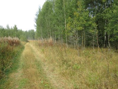 Памятное место совместных действий в 1942 г. партизан полка им. С. Лазо и войск генерала П.А. Белова против гитлеровцев