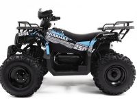 Квадроцикл SHARMAX Activator 250