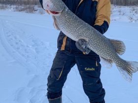 Эксклюзивная трофейная рыбалка на Вилюе: нетронутые места, гарантированный улов.