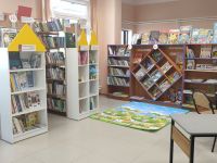 Сельская модельная библиотека – филиал № 13 «Библиополе»