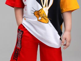 Шорты трикотажные для мальчиков, 2 шт в комплекте