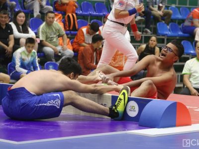 Мас-рестлинг представили на Петербургском международном экономическом форуме