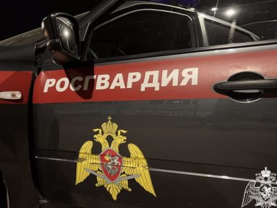 Дебош, скандалы и драка в ресторане: на какие вызовы выезжала Росгвардия в Якутии