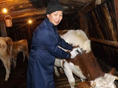 Обеспеченность кадрами ветеринарной службы Якутии составляет 93%