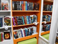 Городской отдел им. А. С. Пушкина г. Аксай