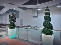 Кинотеатр «ЦУМ-Кино»