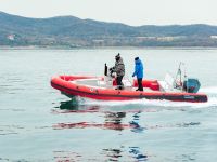 Лодка РИБ STORMLINE OCEAN DRIVE EXTREME 730 (красный) АКЦИЯ