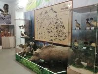 Музей Чуйского тракта