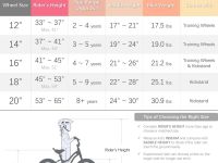 Детский велосипед Royal Baby Stargirl 20, год 2023, цвет Голубой