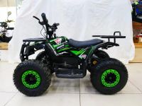 Электроквадроцикл MOTAX Grizlik X16 New E1000