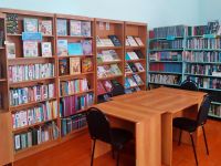 Бестянская сельская библиотека