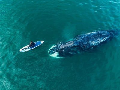 Туризм в Хабаровском крае: как провести отдых на родине китов и самолетов