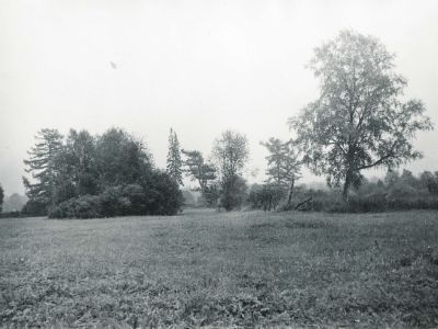 Усадьба. Парк