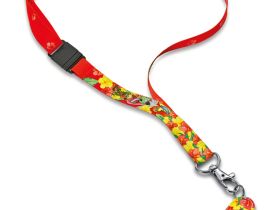 Складной нож детский My First Victorinox Parrot Edition 9 функций, шнурок на шею, книга-раскраска