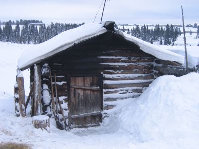 Баня В.Г. Садковой