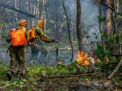 Авиалесоохрана: причиной лесных пожаров в Якутии являются грозы