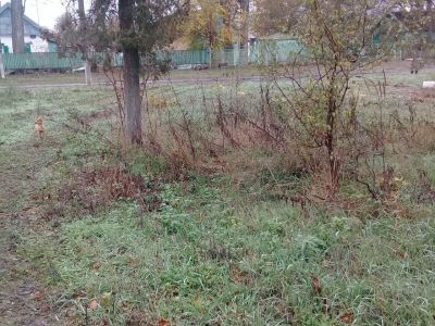 Бюст В.И. Ленина