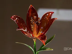 В Якутске открылась выставка Маргариты Зиминой «Цветы России»