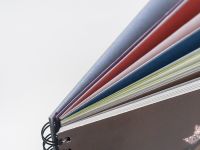 Скетчбук для пастели с калькой Малевичъ "GrafArt" А3 20 л 270 г, ассорти