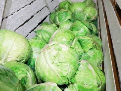 Заготовительная овощная кампания ведется в исправительных учреждениях Якутии