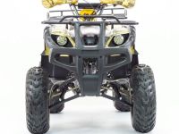 Квадроцикл MOTOLAND 250 Adventure (2021 Г.)