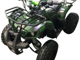 Электроквадроцикл AVANTIS ATV Classic 8E (1000W)