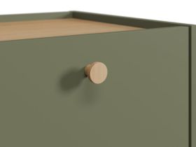 Тумба прикроватная Торвалль 44x61 Оливковый
