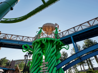 Семейный парк чудес и приключений «Дримвуд»