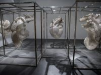 Фонд культуры «Екатерина»