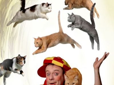 Дмитрий Куклачев. Спектакль КОТОБУМ! г. Тюмень