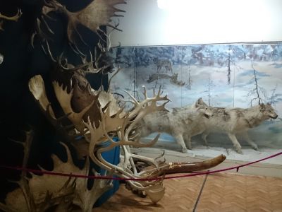 Аллаиховский музей природы тундры и охотничьего промысла им. Д .А. Лебедева