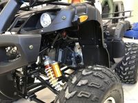 Квадроцикл RAPTOR Max Pro 250 (жёлтый/чёрный) (2024)