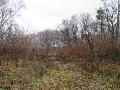 Усадьба Чуброва