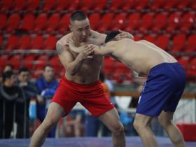 Стартовал чемпионат Якутии по хапсагаю с участием сильнейших спортсменов