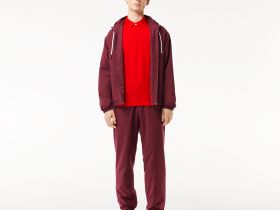 Мужское поло Lacoste PARIS стандартного кроя