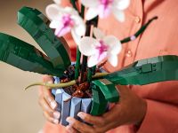 Creator 10311 Конструктор Орхидея