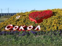 Центральная библиотека г. Сокола