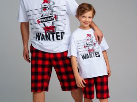 Комплект для мальчиков: фуфайка (футболка) трикотажная, шорты текстильные