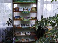 Дмитриевская сельская библиотека