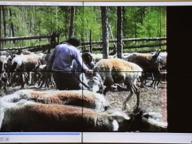 «Никому не отказывала в помощи» – какой была известная шаманка Якутии Матрена Кубертинова