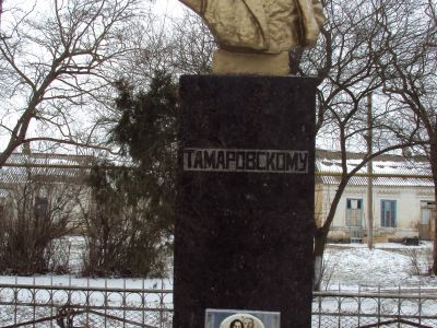 Бюст П.С. Тамаровского